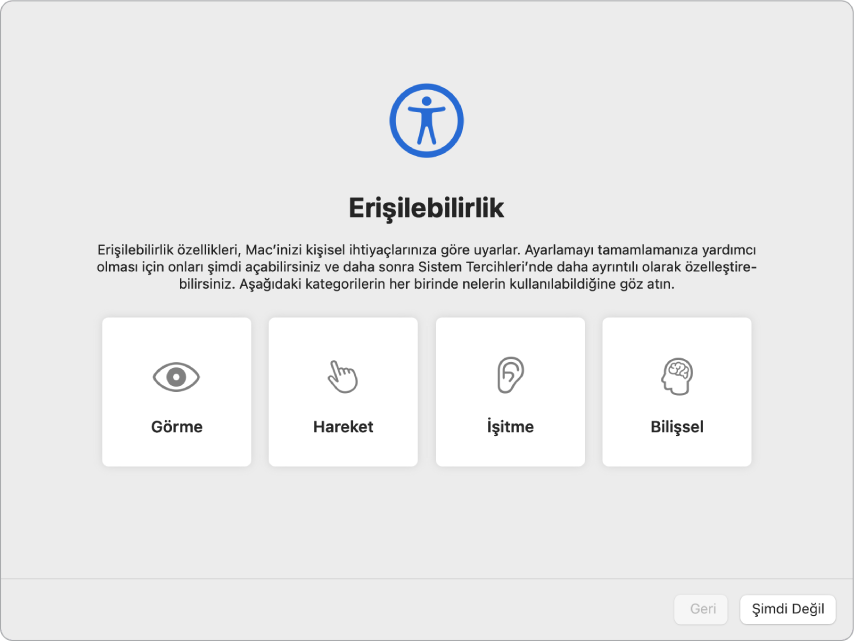 Ayarlama Yardımcısı’nda Erişilebilirlik seçeneklerini gösteren bir Mac ekranı.