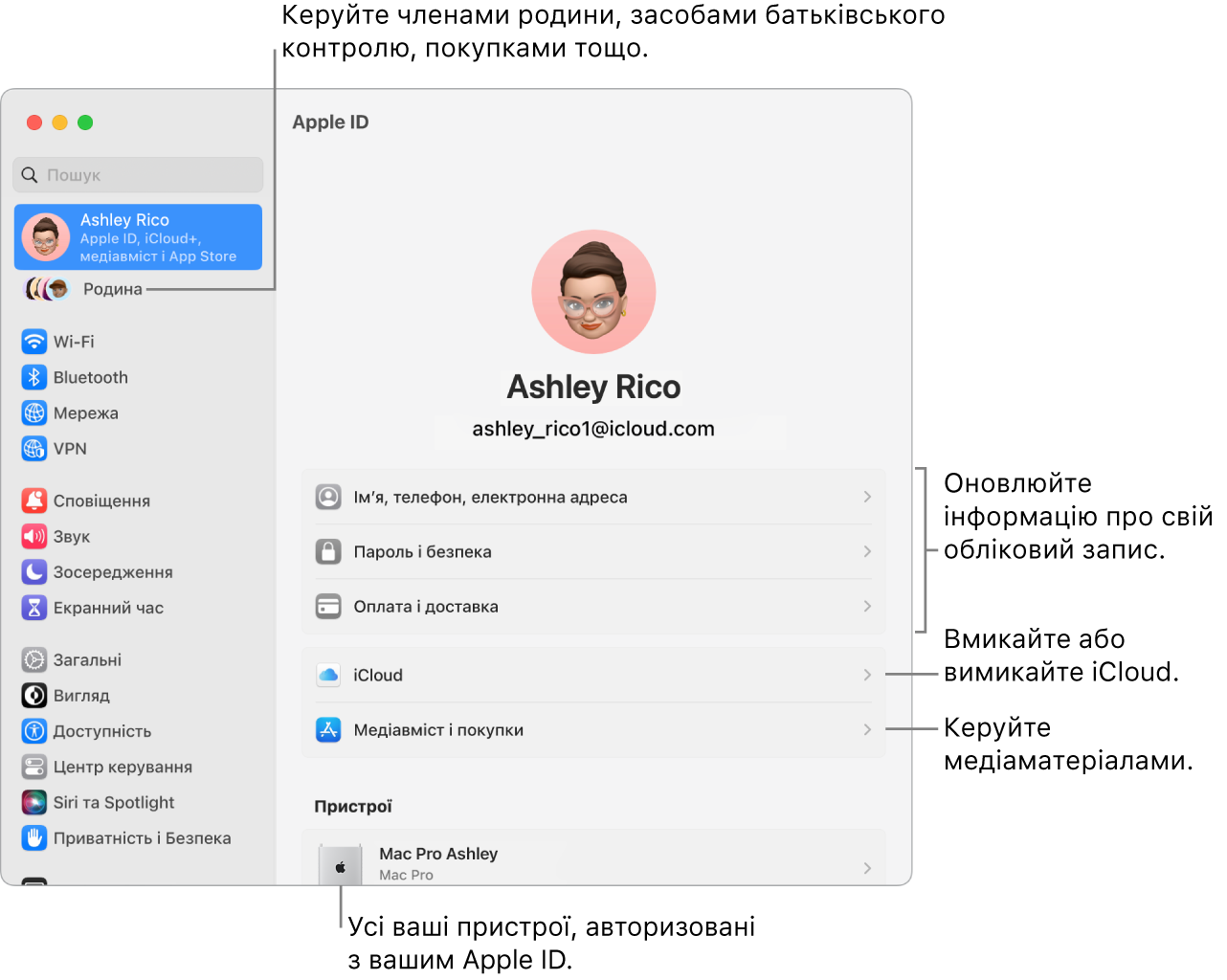 Параметри Apple ID в системних параметрах з виносками для оновлення інформації про обліковий запис, увімкнення і вимкнення функцій iCloud, керування обліковими записами в соцмережах, а також розділ «Родина», в якому можна керувати учасниками родини, батьківським контролем, покупками тощо.