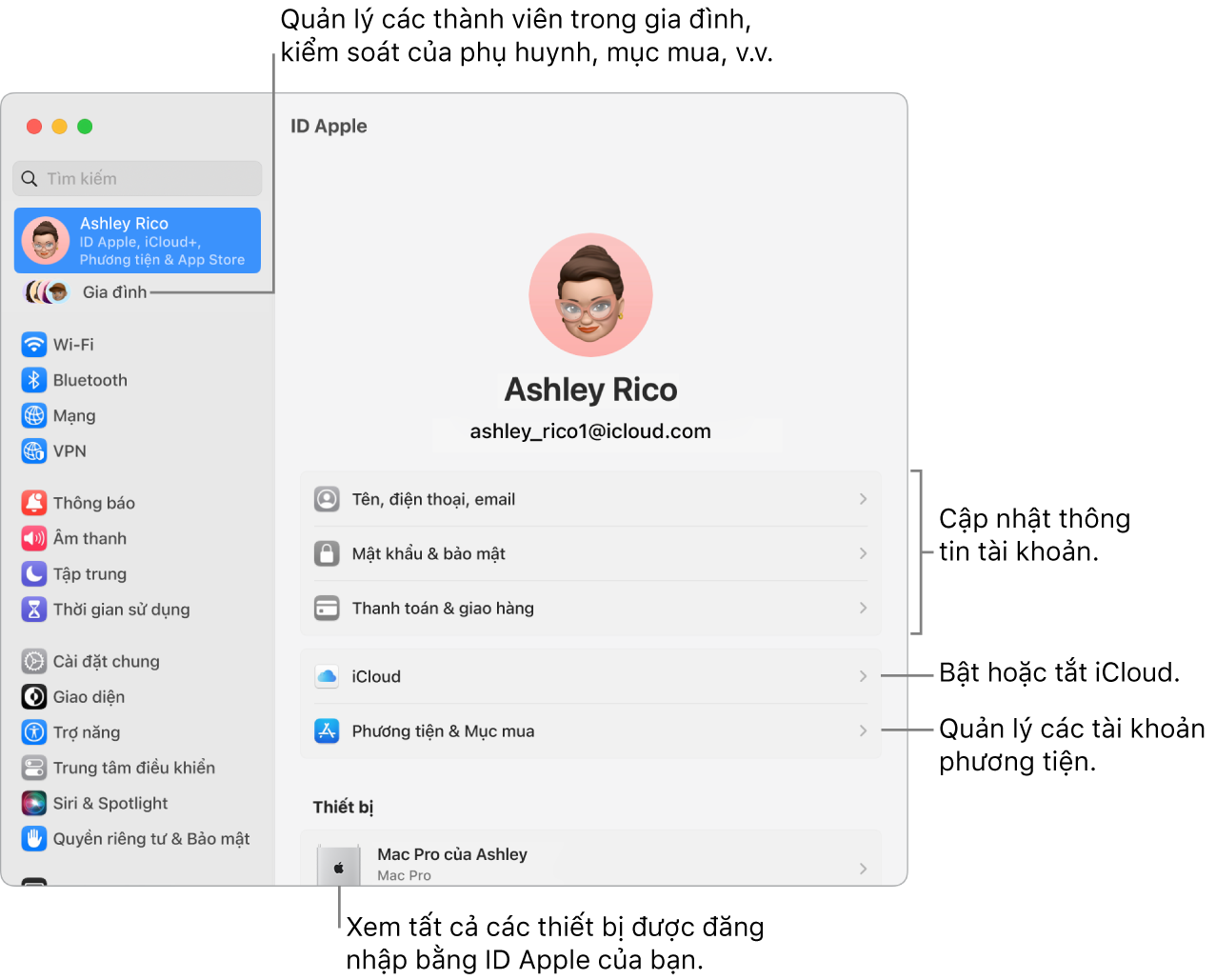 Khung ID Apple trong Cài đặt hệ thống với các chú thích để cập nhật thông tin tài khoản, bật hoặc tắt các tính năng iCloud, quản lý các tài khoản phương tiện và Gia đình, là nơi bạn có thể quản lý các thành viên gia đình, kiểm soát của phụ huynh, mục mua, v.v.