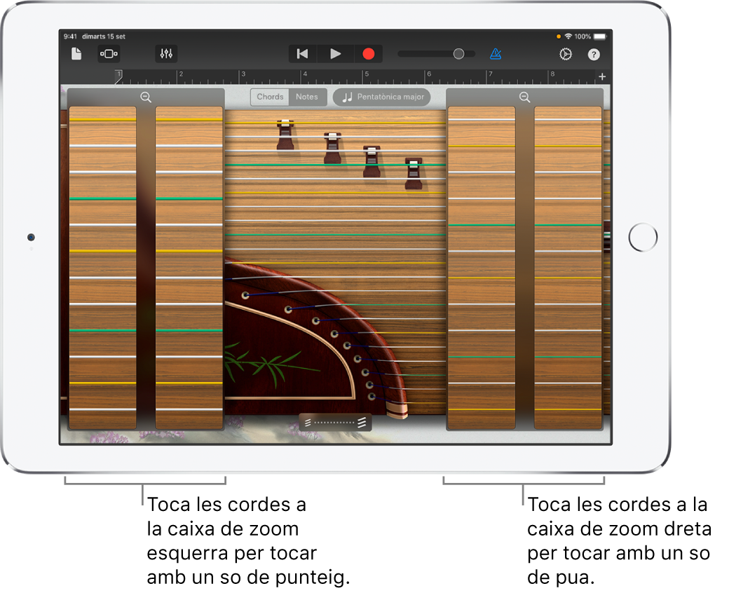 Quadres de zoom del guzheng