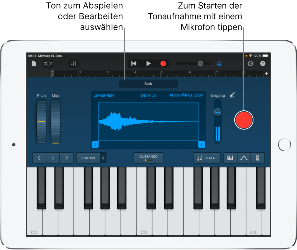 Touch-Instrument „Sampler“