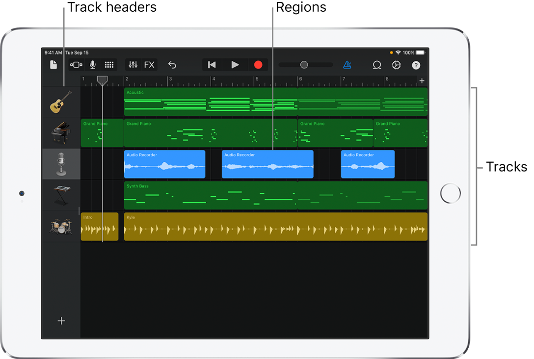 Tracks view, showing tracks, headers, and regions