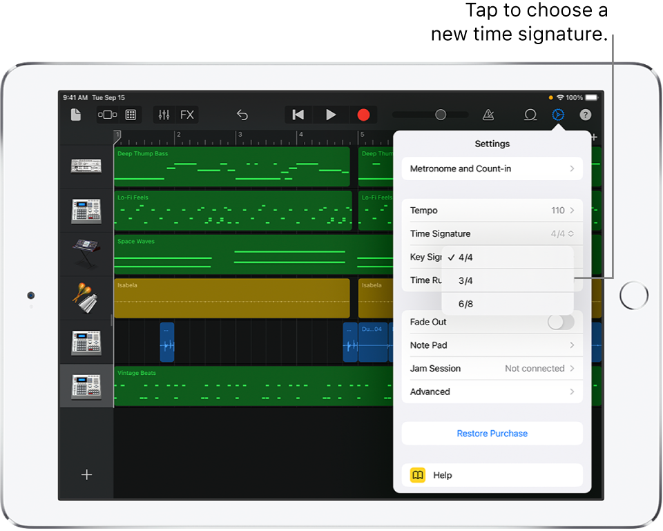 Song settings, including time signature controls