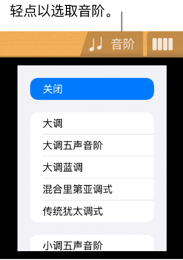 吉他的“音阶”按钮