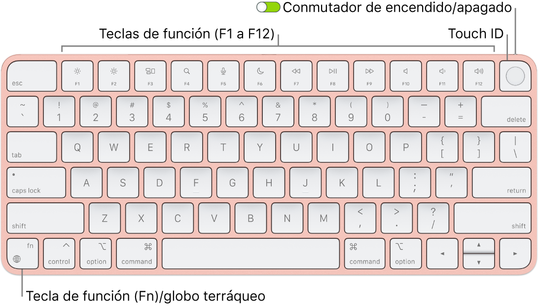 Magic Keyboard con Touch ID, con la fila de teclas de función y Touch ID en la parte superior, y la tecla del globo terráqueo o función (Fn) en la esquina inferior izquierda.