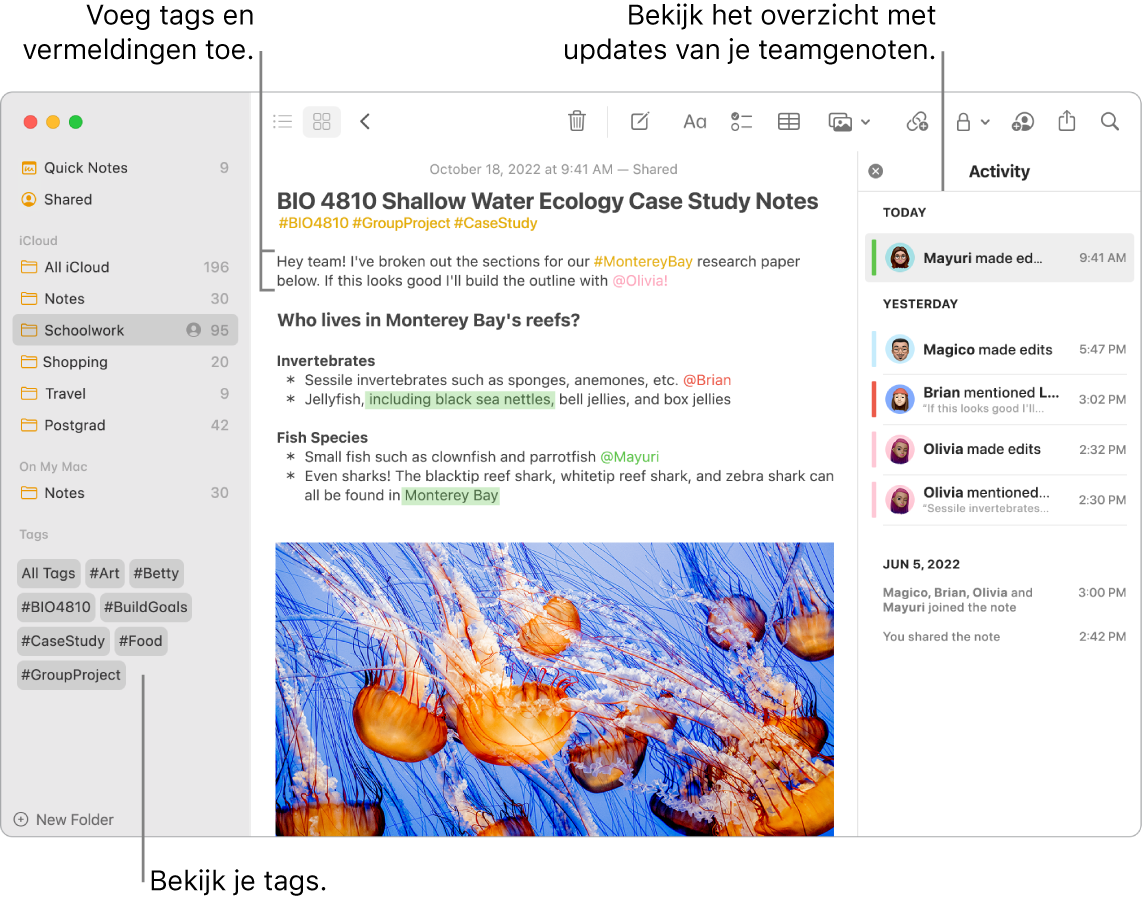 Een Notities-venster in de galerieweergave met een bijschrift voor de tags in de navigatiekolom. De hoofdnotitie bevat een bijschrift voor een tag en een vermelding. Aan de rechterkant staat een activiteitenlijst met een bijschrift voor de samenvattingsweergave van de updates.