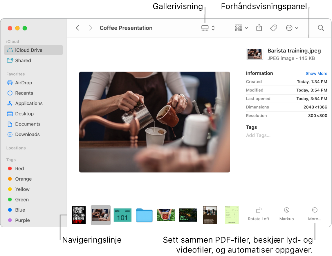 Et åpent Finder-vindu i gallerivisning som viser et stort bilde med en rekke småbilder – navigeringslinjen – under det. Kontroller for rotering, merking og annet er til høyre for navigeringslinjen.
