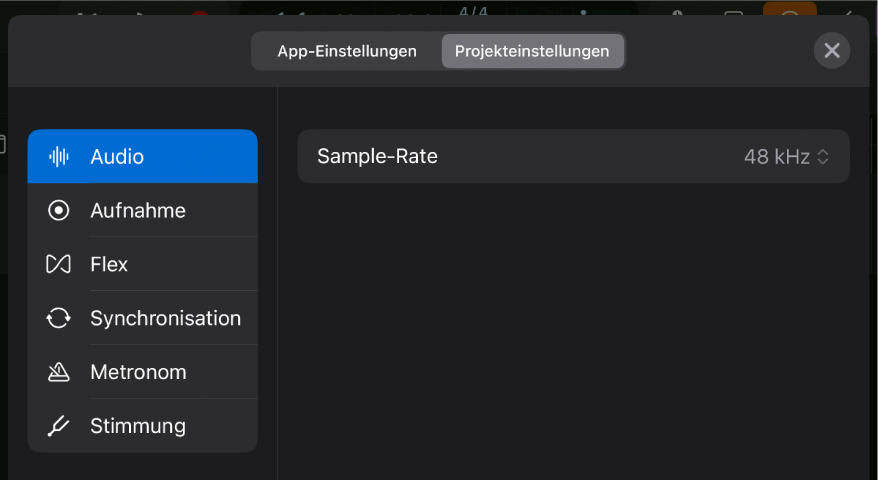 Der Projekteinstellungsbereich „Audio“.