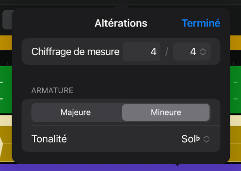 Boîte de dialogue Altérations montant la zone Chiffrage de mesure avec les commandes Nombre de temps et Valeur de note.