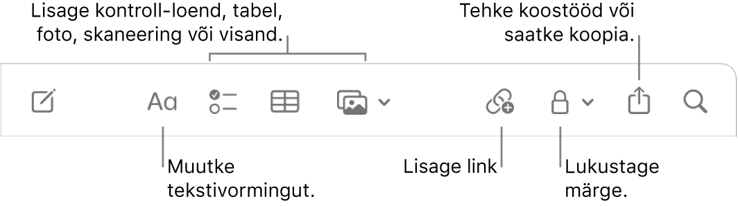 Tööriistariba Notes väljaviikudega tekstivormingu, ülesandeloendi, tabeli, lingi, fotode/meedia, lukustamise, jagamise ning kopeerimise tööriistadele.