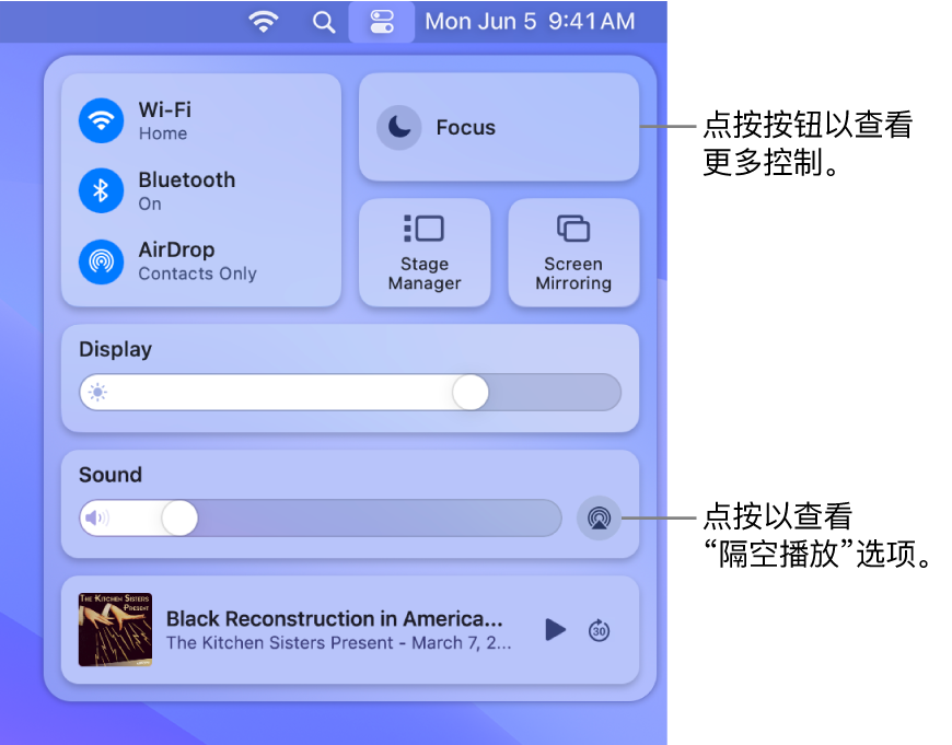 Mac 上“控制中心”的放大视图。