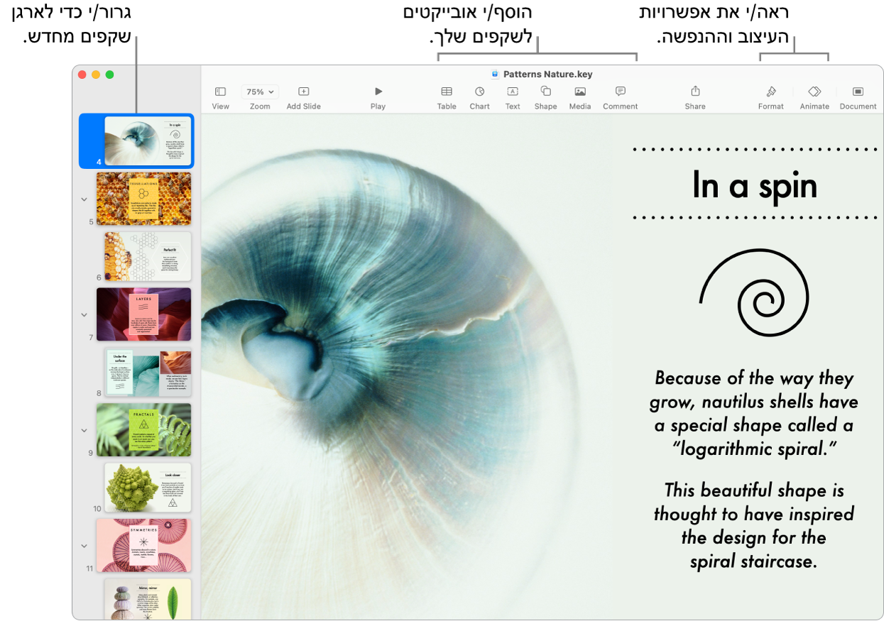 חלון של Keynote המציג את הדרך לשינוי הסדר של שקפים ואת נווט השקפים משמאל, את סרגל הכלים ואת כלי העריכה בחלק העליון, את הכפתור ״שתף פעולה״ בסמוך לפינה הימנית העליונה ואת הכפתורים ״עיצוב״ ו״הנפש” מימין.