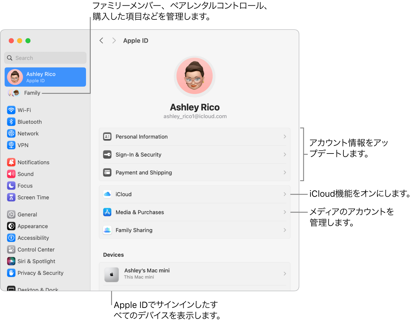 「システム設定」の「Apple ID」設定。アカウント情報のアップデート、iCloud機能のオン/オフ、メディアアカウントの管理と、ファミリーメンバー、ペアレンタルコントロール、購入などを管理できる「ファミリー」へのコールアウトがあります。