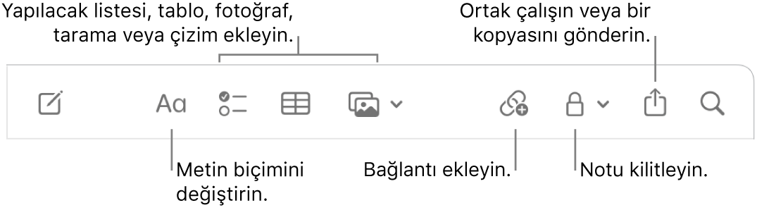 Metin biçimi belirtme çizgileri, yapılacaklar listesi, tablo, bağlantı, fotoğraflar/ortam, kilitleme, paylaşma ve kopya gönderme araçları ile Notlar araç çubuğu.