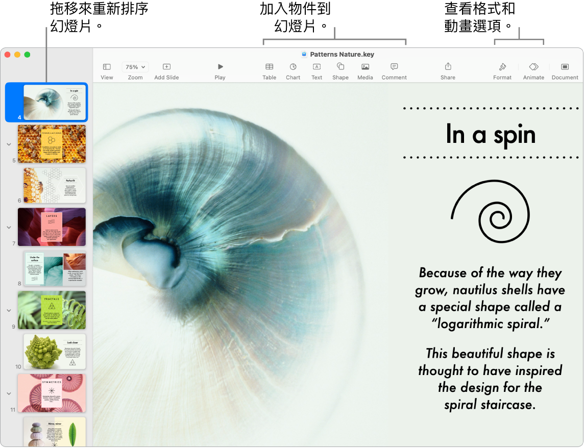 Keynote 視窗左方顯示幻燈片導覽器和如何重新排序幻燈片，最上方為工具列和其編輯工具，右上方附近為「合作」按鈕，右方為「格式」和「動畫效果」按鈕。