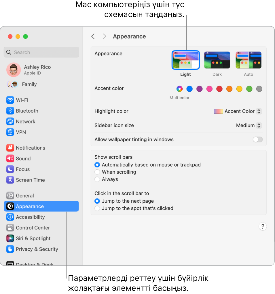 System Settings тармағындағы Appearance терезесі.