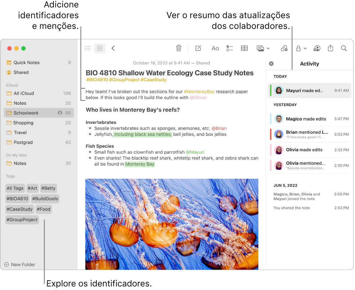 Uma janela da aplicação Notas na vista de galeria com uma chamada para identificadores na barra lateral. Na nota principal, está uma chamada para um identificador e uma menção. À direita está uma lista de atividades com uma chamada para ver um resumo das atualizações.