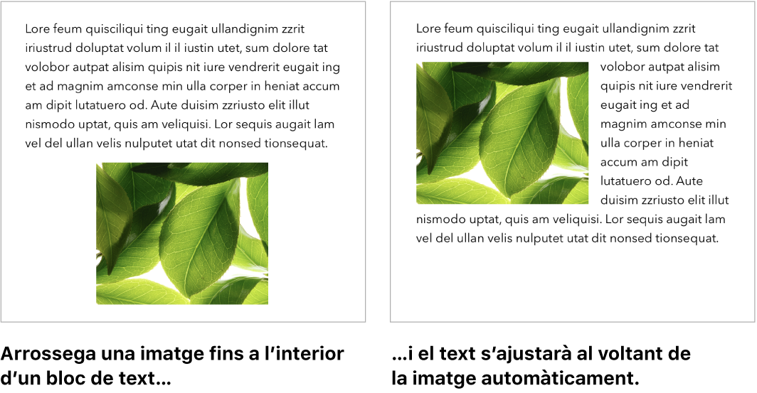 Una finestra del Pages mostrant com s’ajusta el text al voltant del gràfics.
