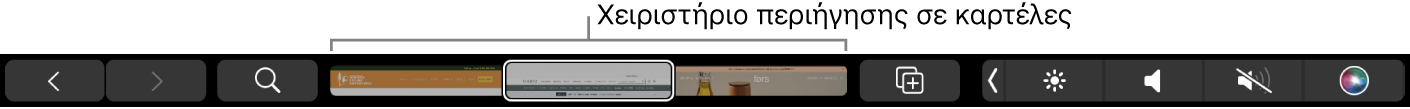 Το Touch Bar για το Safari με τα βέλη πίσω και εμπρός, το κουμπί αναζήτησης, τη γραμμή καρτελών και το κουμπί προσθήκης σελιδοδεικτών.