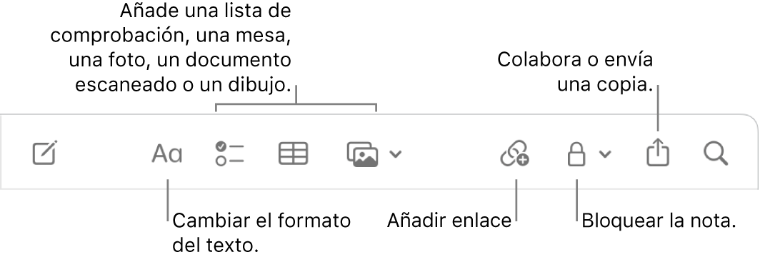 La barra de herramientas de Notas con llamadas a las herramientas de formato de texto, lista de comprobación, tabla, enlace, fotos/contenido multimedia y enviar una copia.