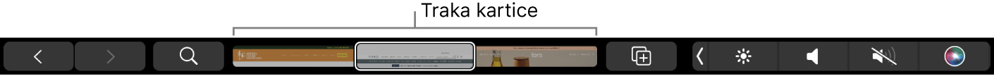 Safari Touch Bar sa strelicama za pomicanje unatrag i unaprijed, tipkom za pretraživanje, izbornikom kartica i tipkom za dodavanje knjižne oznake.