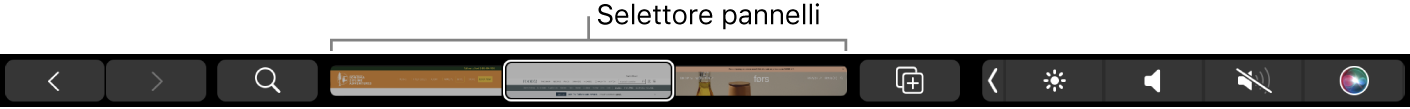 La Touch Bar di Safari con le frecce per andare avanti e indietro, il pulsante di ricerca, la barra di scorrimento dei pannelli e il pulsante per aggiungere i segnalibri.