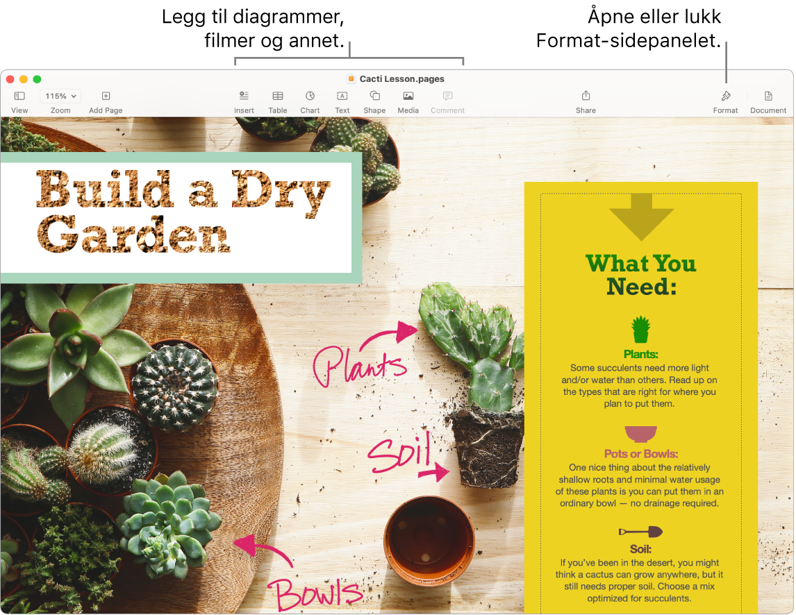 Et Pages-vindu som viser Aktivitetsstrøm under Samarbeid-knappen i verktøylinjen, der to personer er aktive. Det vises bildeforklaringer for å legge til diagrammer, filmer og mer i verktøylinjen, og en bildeforklaring for hvordan du åpner eller lukker Format-sidepanelet.