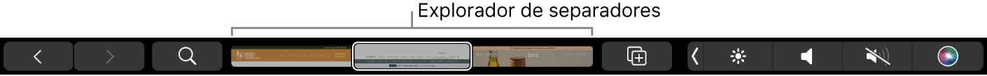 A Touch Bar do Safari com as setas para trás e para a frente, o botão de pesquisa, o explorador de separadores e o botão Adicionar marcador.