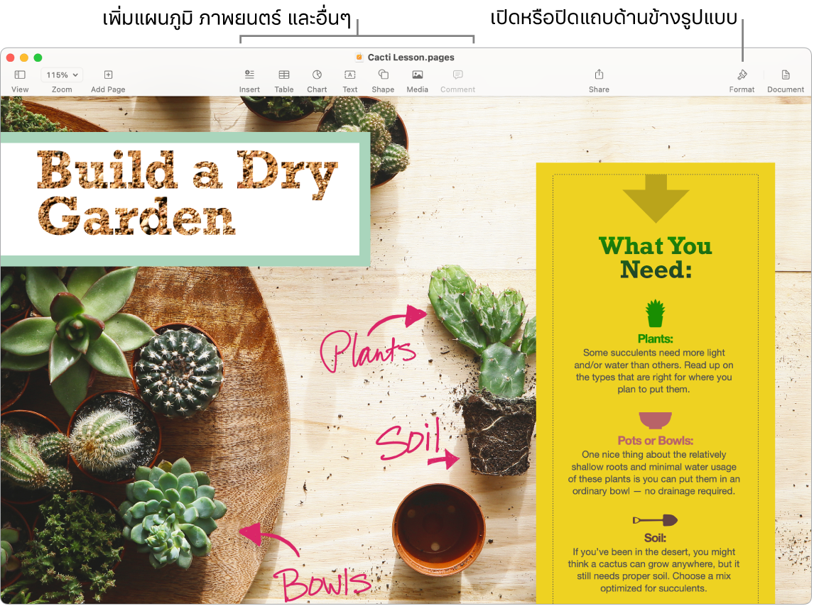 หน้าต่าง Pages ที่แสดงการสตรีมกิจกรรมใต้ปุ่มใช้งานร่วมกันในแถบเครื่องมือ โดยมีคนสองคนใช้งานอยู่ มีตัวชี้บรรยายไปยังการเพิ่มแผนภูมิ ภาพยนตร์ และอื่นๆ ในแถบเครื่องมือ และมีตัวชี้บรรยายไปยังการเปิดหรือปิดแถบด้านข้างรูปแบบ