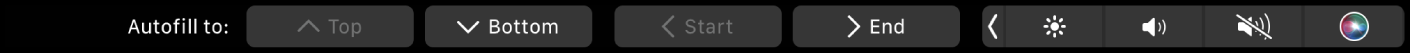 Otomatik doldurma düğmelerinin görüntülendiği Numbers Touch Bar’ı. Bunların arasında üst, alt, başlangıç ve bitiş bulunur.