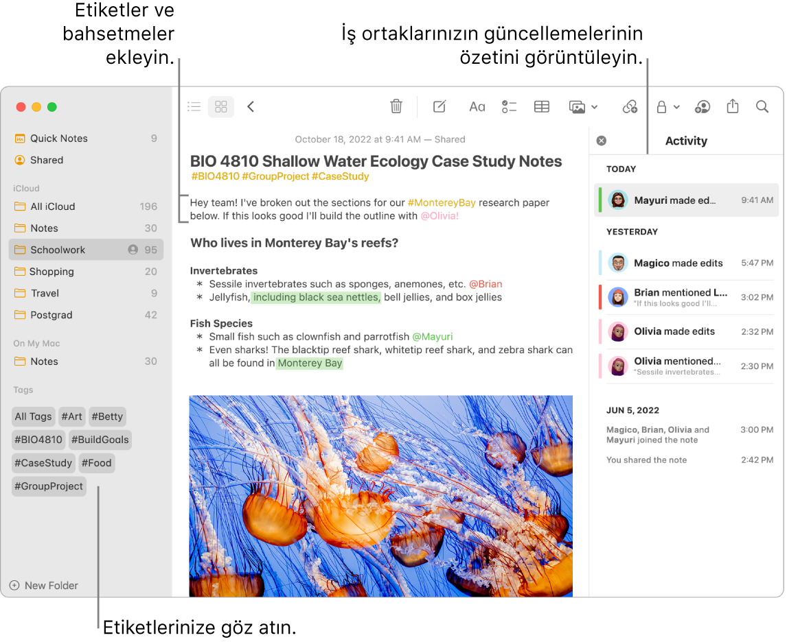 Kenar çubuğunda etiketlerin belirtme çizgisi ile Galeri görüntüsünde bir Notlar penceresi. Ana notta, bir etiketin ve bir bahsetmenin belirtme çizgisi bulunur. Sağda, güncellemelerin özetini görüntülemeye yönelik belirtme çizgisi ile bir etkinlik listesi bulunur.