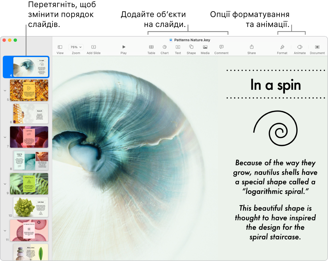 Вікно Keynote з навігатором слайдів зліва з перевпорядкованими слайдами, панель інструментів та інструменти редагування вгорі, кнопка «Співпрацювати» справа вгорі і кнопки «Форматувати» й «Анімувати» справа.