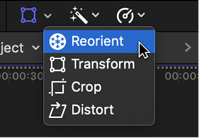 The Reorient menu item for accessing the Reorient control