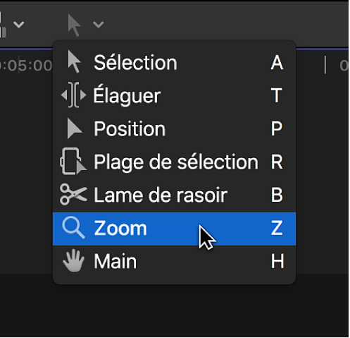 Outil Zoom dans le menu local Outils