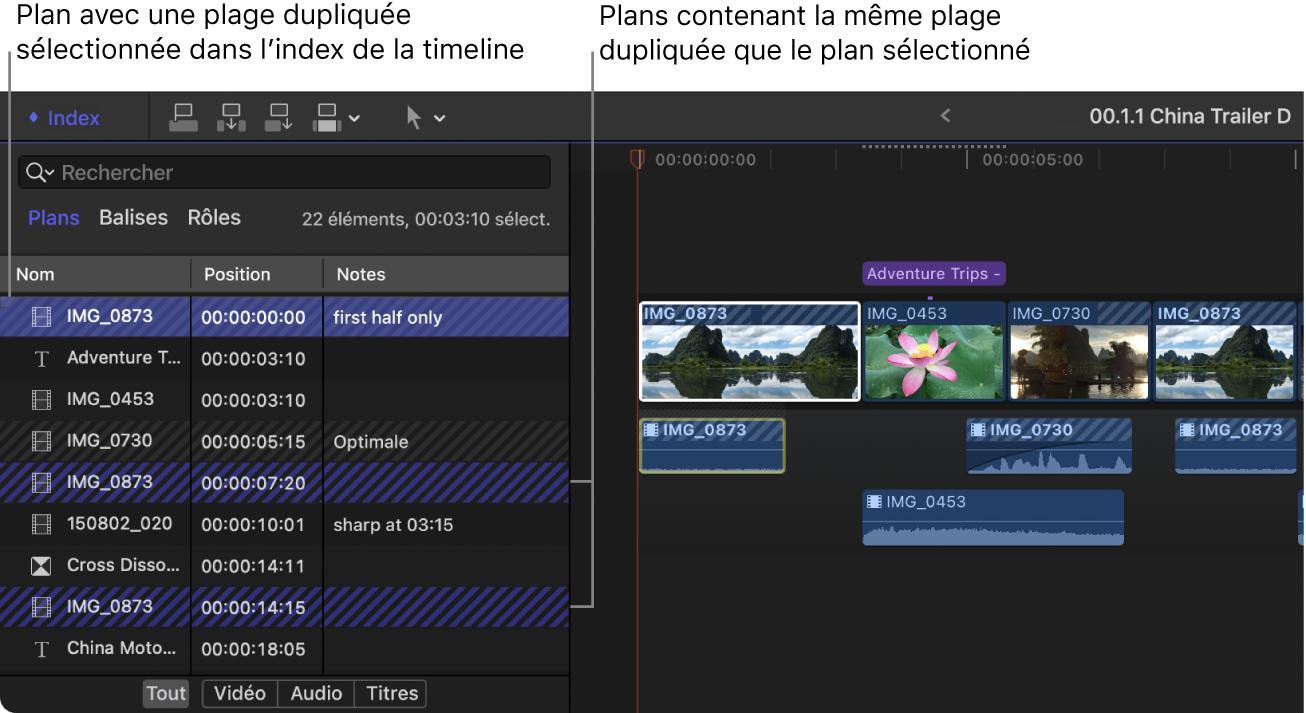 Plan avec doublon de plage sélectionné dans l’index de la timeline. Le plan sélectionné et les deux autres plans contenant le même doublon de plage sont mis en surbrillance avec des lignes diagonales bleues. Les plans contenant d’autres doublons de plages sont affichés avec des lignes diagonales grises.