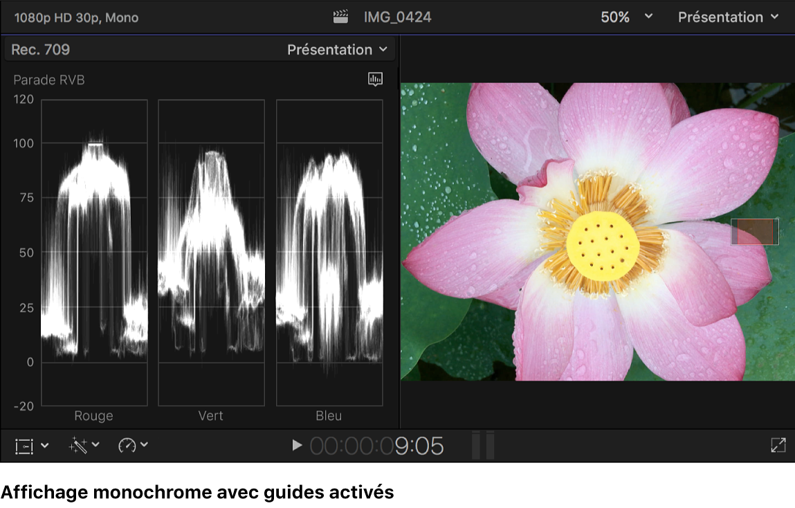 Histogramme Parade RVB monochrome avec guides présenté à gauche du visualiseur