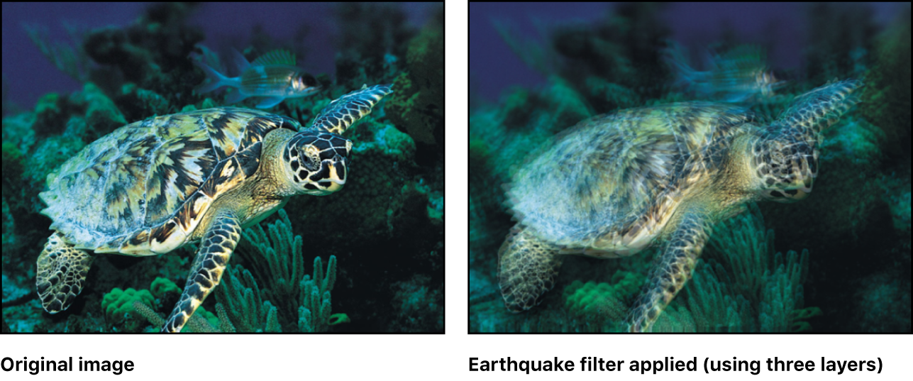 Canvas showing effect of Earthquake filter