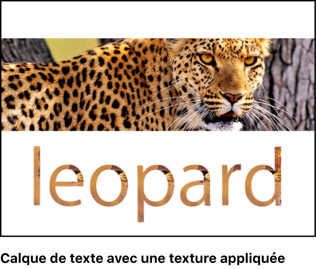 Canevas affichant du texte auquel une texture est appliquée