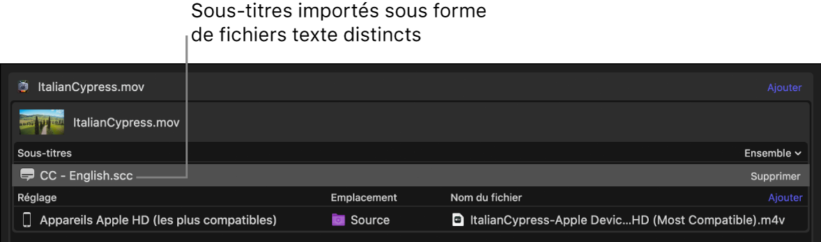 Zone du lot affichant un fichier de sous-titres, ajouté comme fichier texte à part