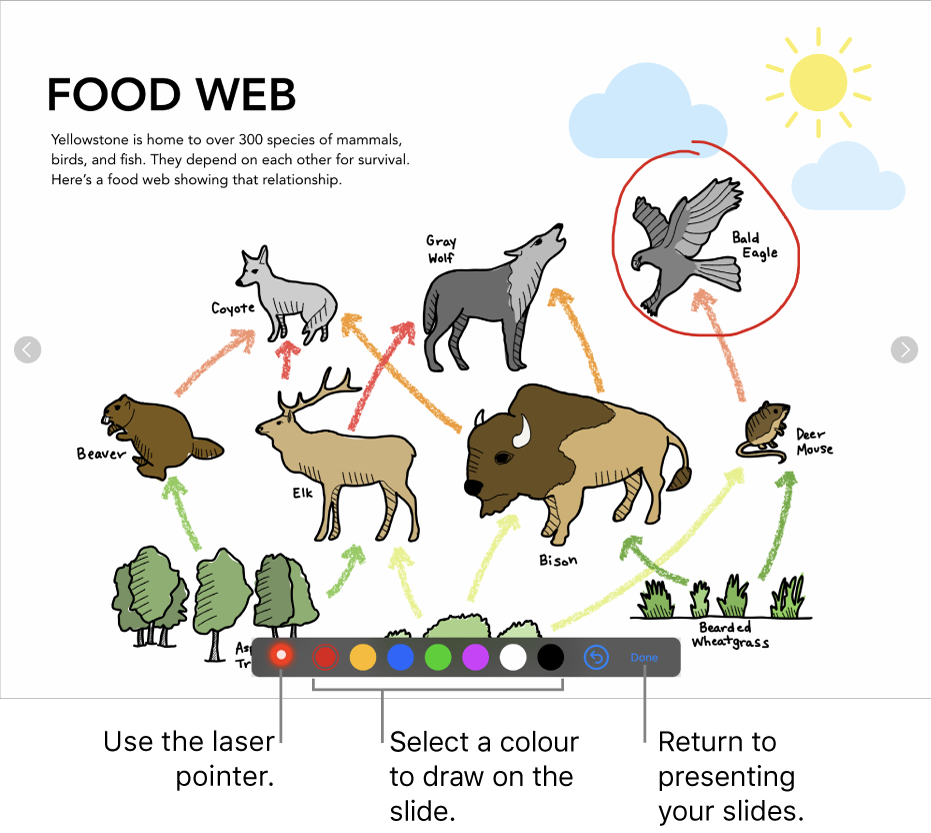 A slide in slide illustration mode showing the laser pointer and colour selection controls.