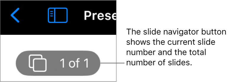 The slide navigator button showing the current slide number and the total number of slides in the presentation.