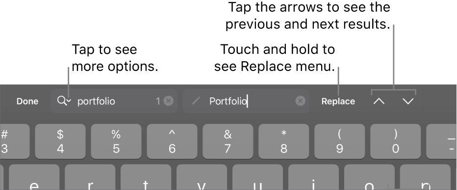 The Find & Replace controls above the keyboard with callouts to the Search Options, Replace, Go Up, and Go Down buttons.