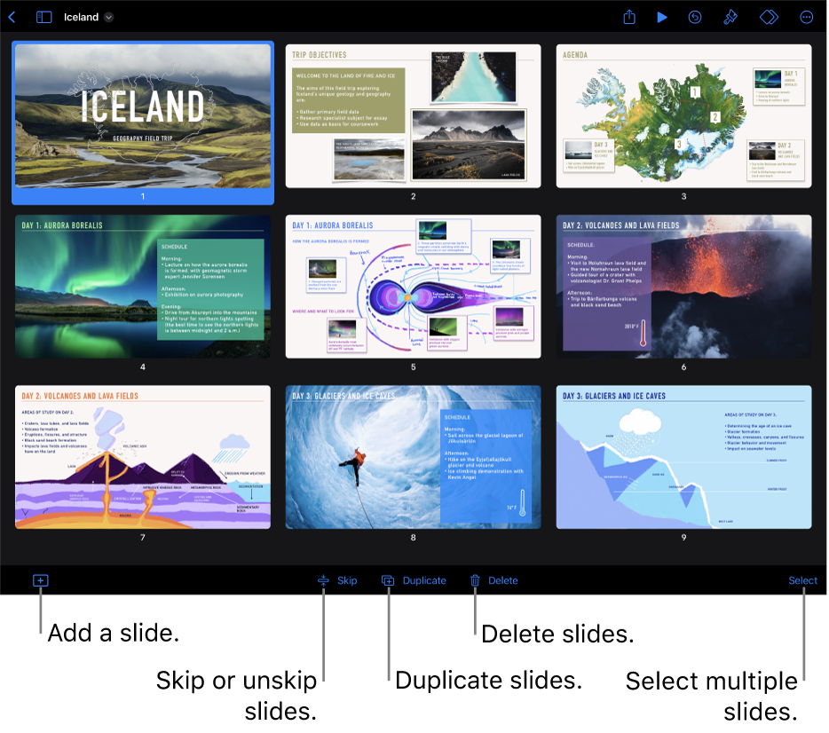 Light table view with buttons at the bottom of the screen for adding, skipping, duplicating, and deleting slides, and for selecting multiple slides.