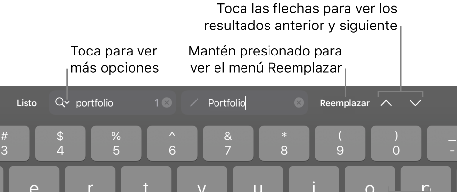 Los controles Buscar y Reemplazar arriba del teclado con mensajes en los botones Opciones de Búsqueda, Reemplazar, Subir y Bajar.