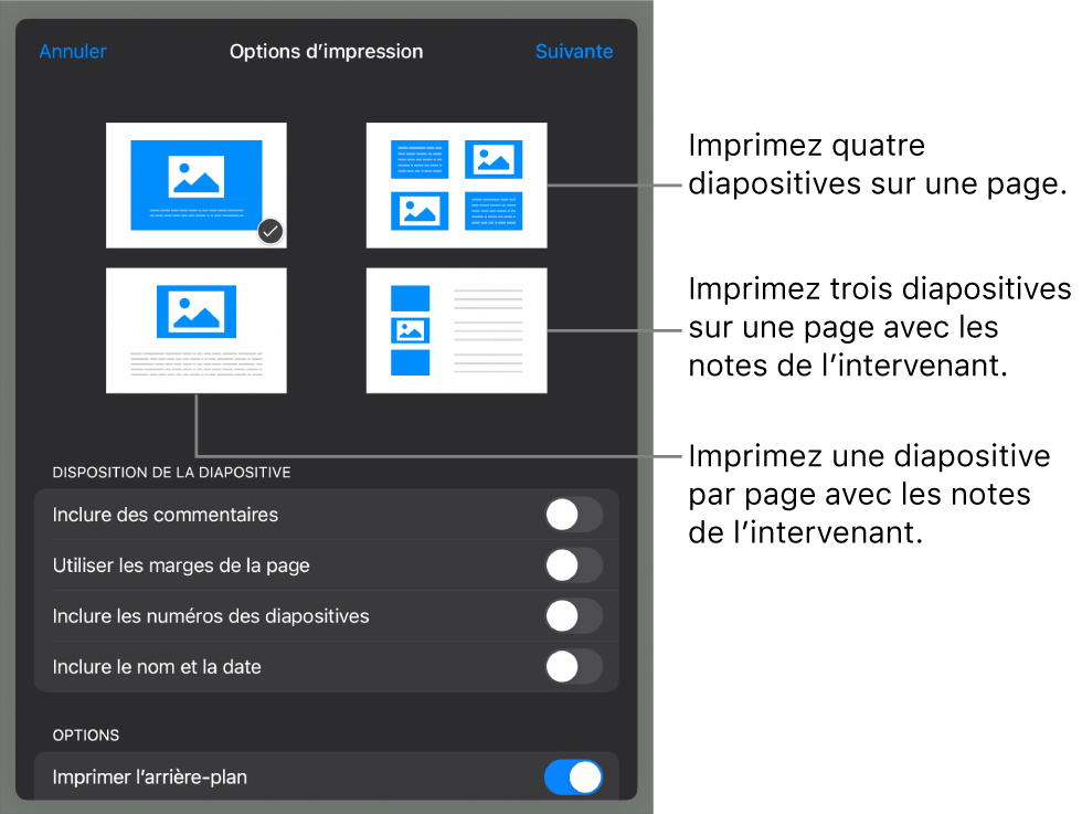 Options de disposition d’impression.