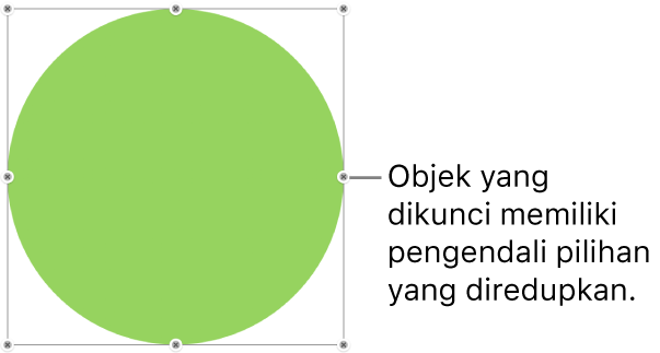 Sebuah objek yang terkunci dengan pengendali pilihan yang diredupkan.