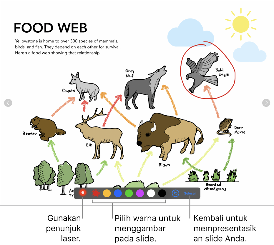 Slide dalam mode ilustrasi slide menampilkan penunjuk laser dan kontrol pilihan warna.