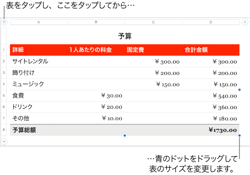 選択された表。サイズを変更するための青いドットが表示された状態。