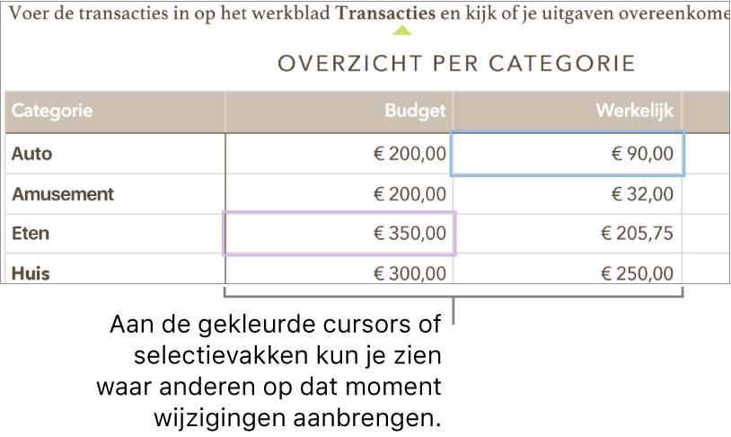 Cursors of selecties in verschillende kleuren geven aan waar anderen wijzigingen aanbrengen.