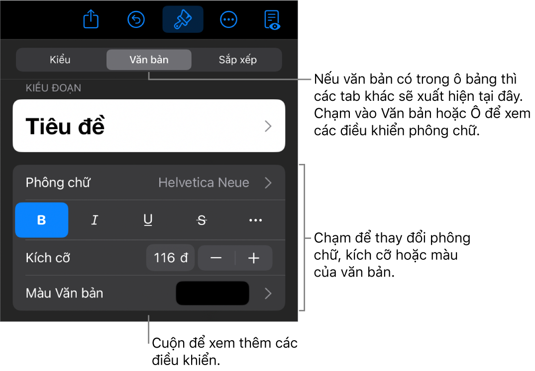 Các điều khiển văn bản trong menu Định dạng để đặt kiểu, phông chữ, kích cỡ và màu của đoạn và ký tự.
